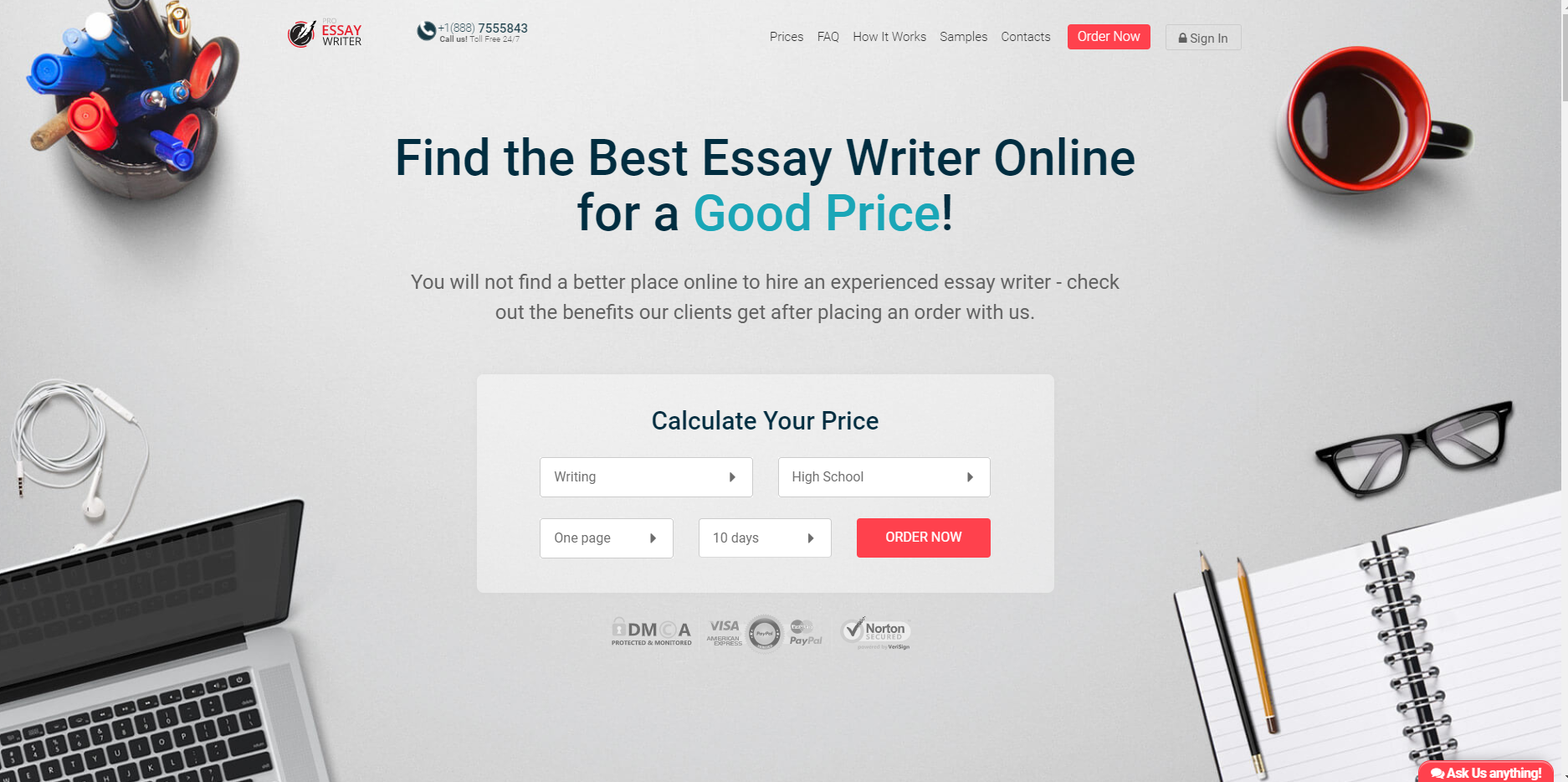 professional essay writers review